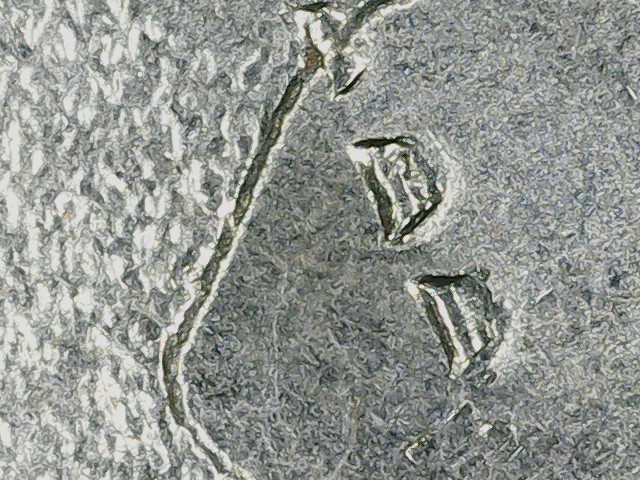 2022-P-Quarter-Maya-Angelou-OBV-&-REV-?