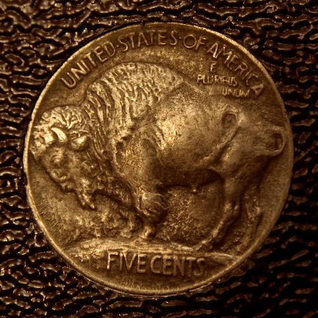 1913-Buffalo-Nickel---What-Do-You-Think?