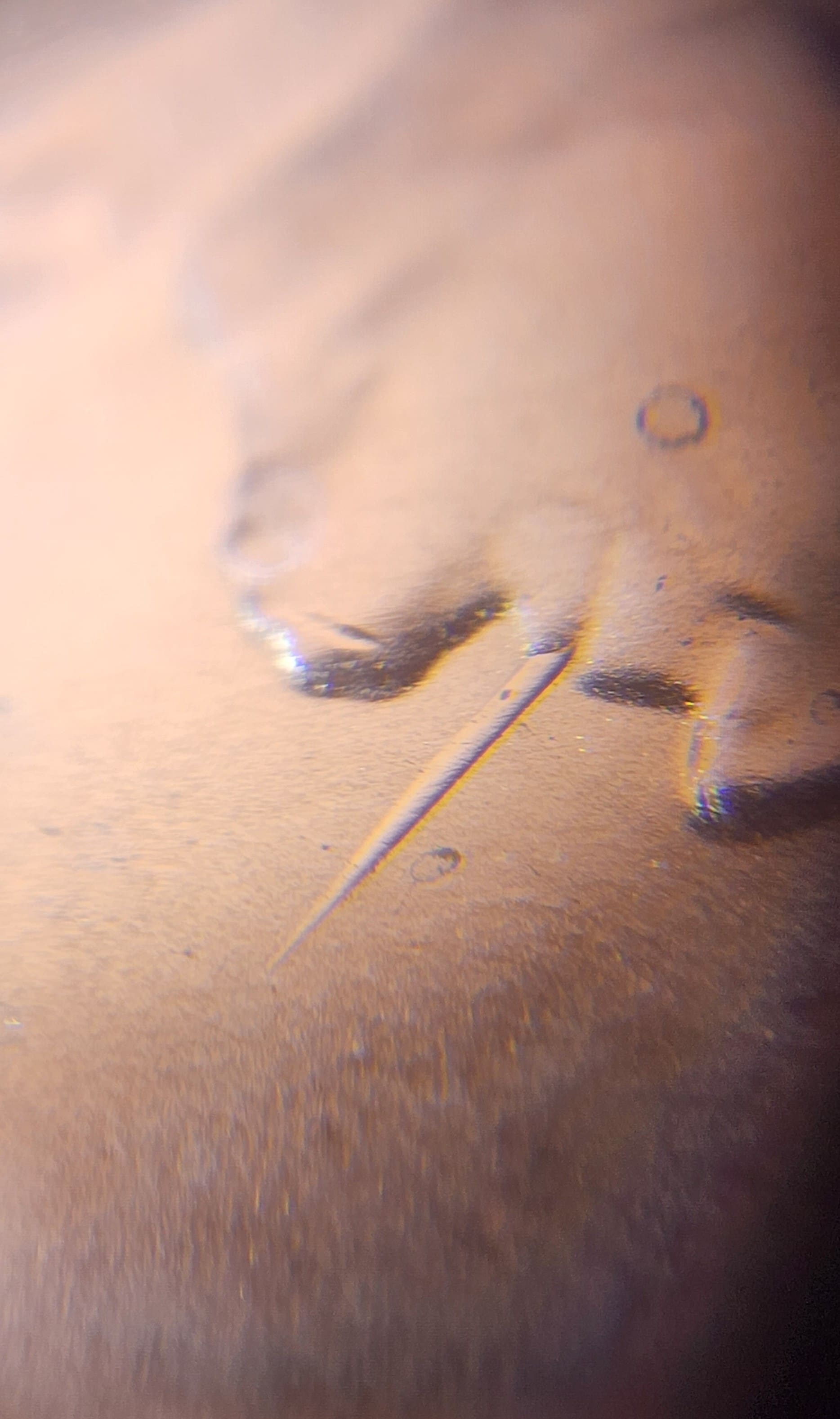 2024-D-Lincoln-Die-Gouge?