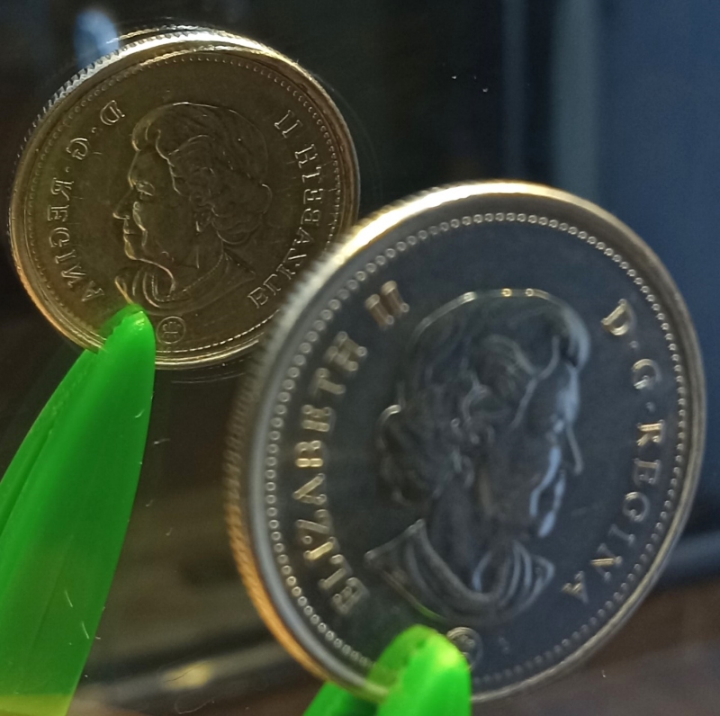 Loonies-Braces-Contest-Has-Begun.--Ends-17:00-Sunday-May-5th.