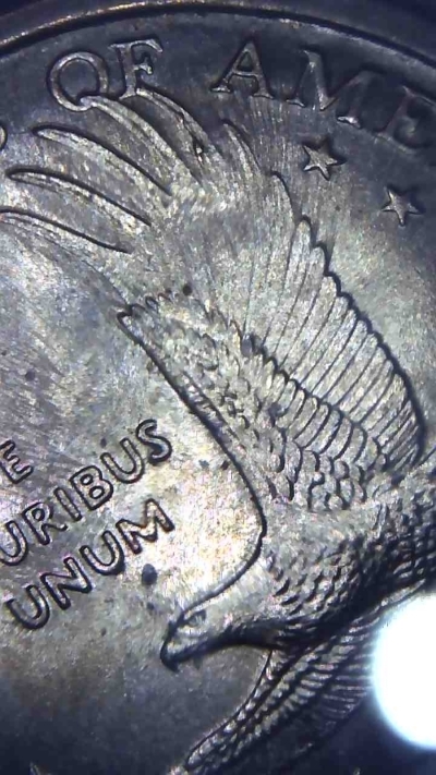 2000-P-Dollar-Needs-Explaining