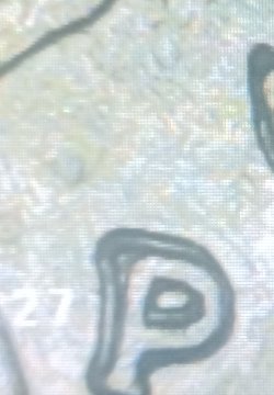 Is-This-A-Good-Find?-Please-Help-1999-P-Nickel