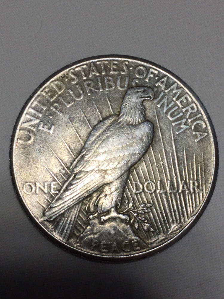1925-Peace-Dollar-Grade-Help-Please