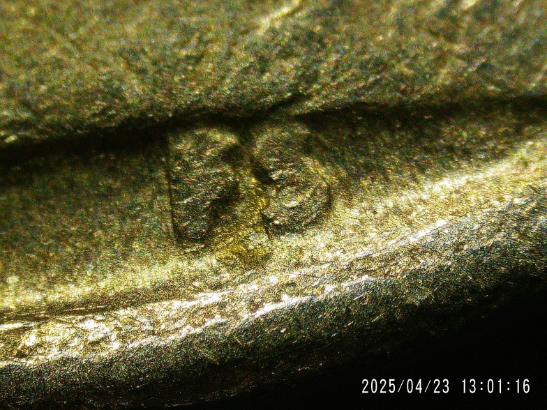 1983-D-Nickel-DDO-And-DDR?