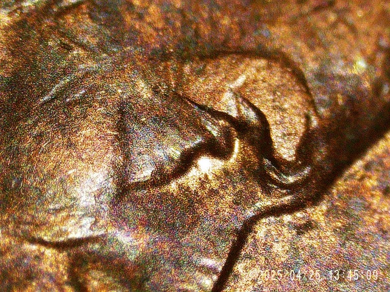 2001-Lincoln-Cent-Error?-Not-Sure-What-Is-Going-On-With-This-One!