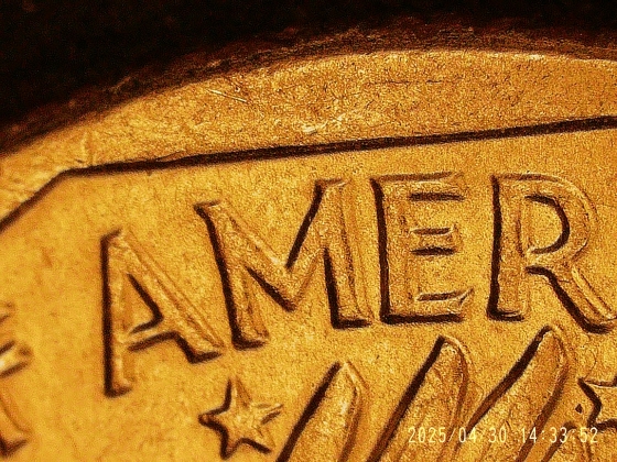 1979-D-Susan-Anthony-Doubled-Die?