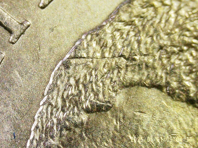 2005-P-Nickel-Bison-Die-Chip-In-4-Places