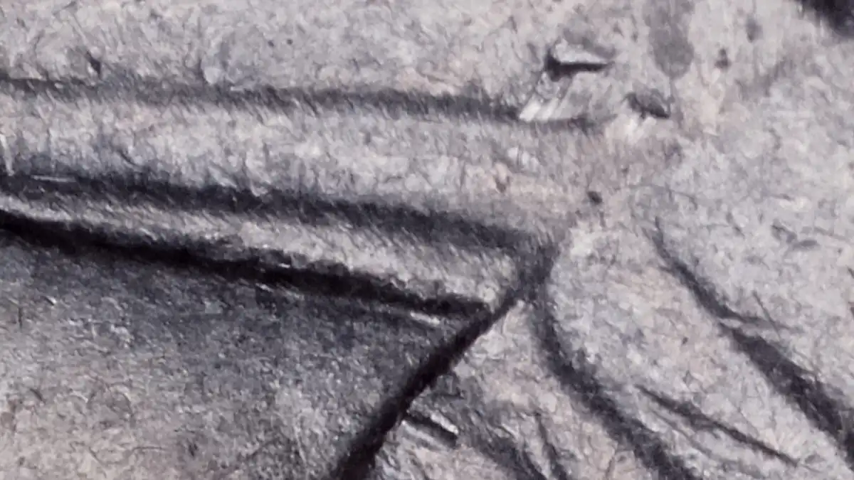 1974-Quarter-Extra-Bar-On-Left-Wing?