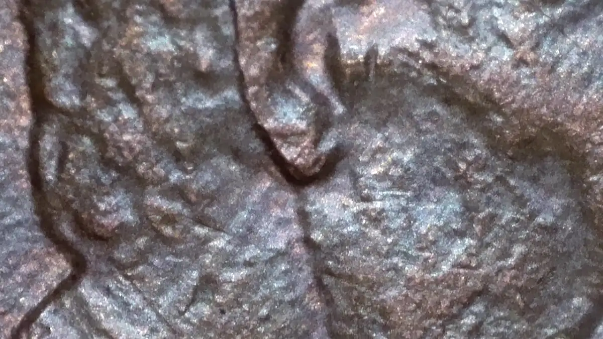1985-D-Penny-Improper-Annealing?-Double-Ear-Possibly?