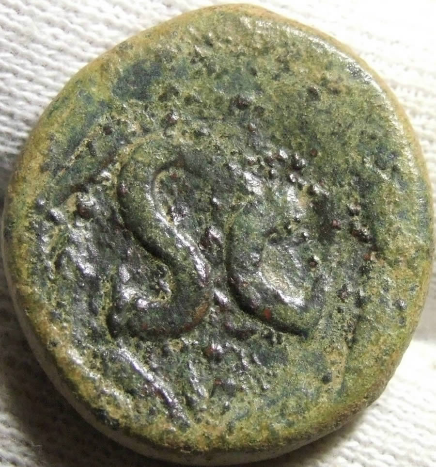 Could-This-Be-Nero-Or-Agrippa?