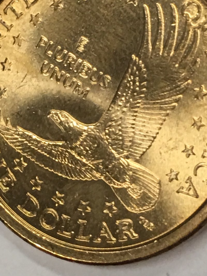 Small-Dollar-Roll-Searching