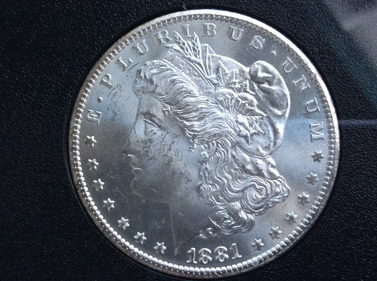 81-CC-GSA-&-81-O-Morgan-For-Grading