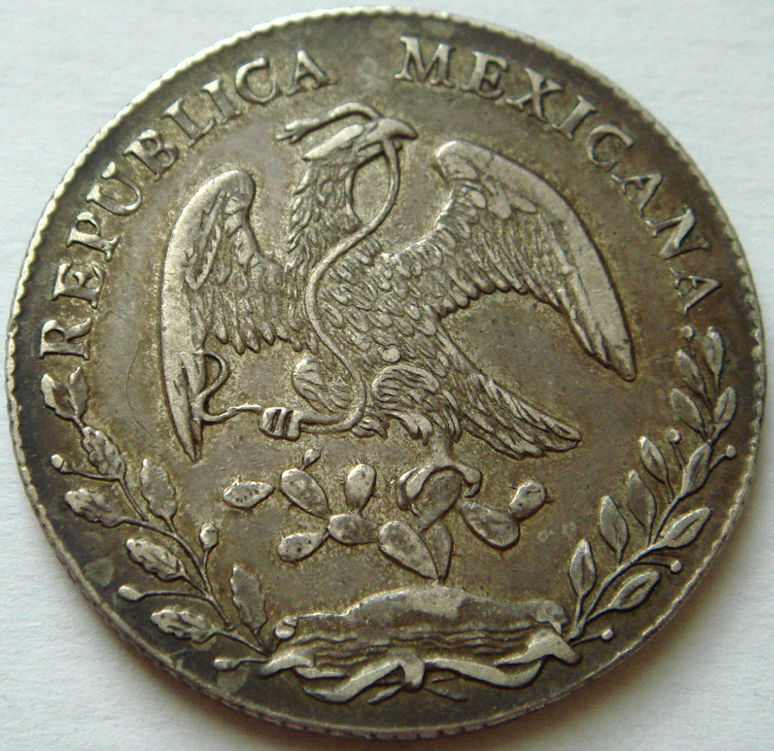 Post-Your-Coins-With-Hats