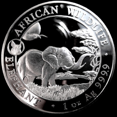 Silver-Bullion-Coin-Series---Photos