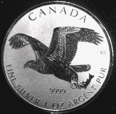 Post-Your-Coins-Representing-The-Animal-Kingdom.
