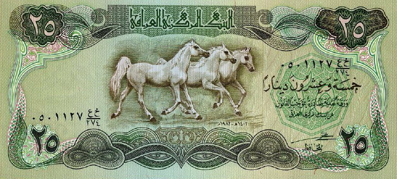 Post-Your-Notes-Showing-A-Horse.