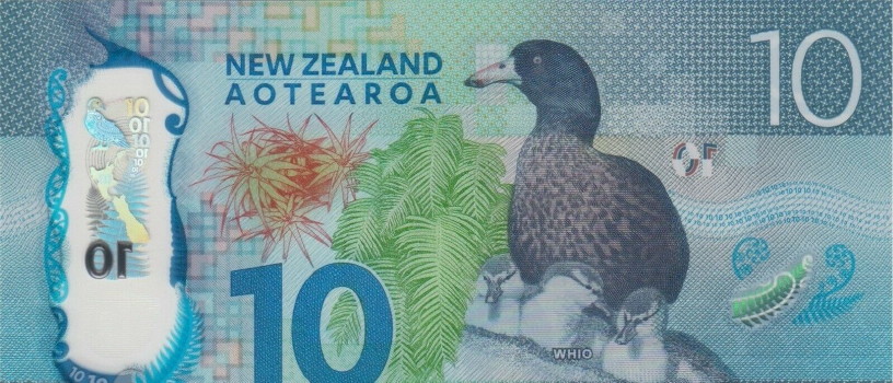 Post-Your-Avian-Notes!