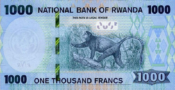Monkeys-And-Other-Primates-On-Banknotes
