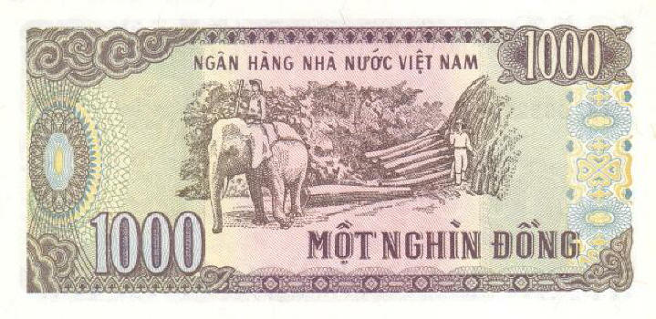 Post-Your-Notes-Showing-An-Elephant