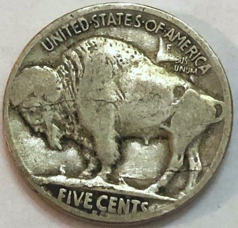 1919-S-Buffalo-For-Grading