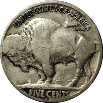 1919-S-Buffalo-For-Grading