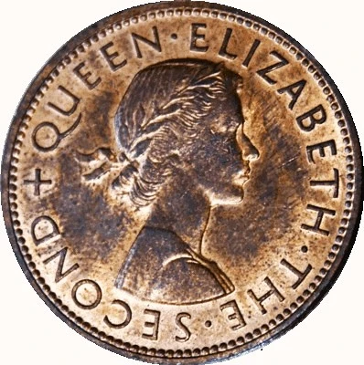 Post-Your-Bird-Coins