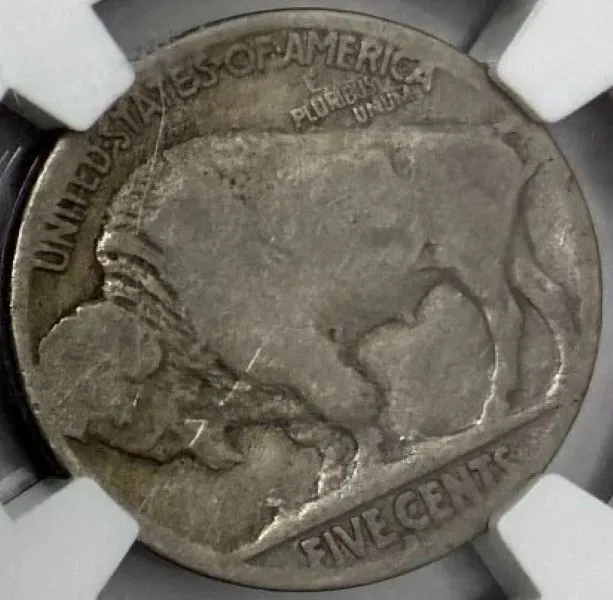 You-Vs-NGC---1913-D-Type-II-Buffalo-Nickel