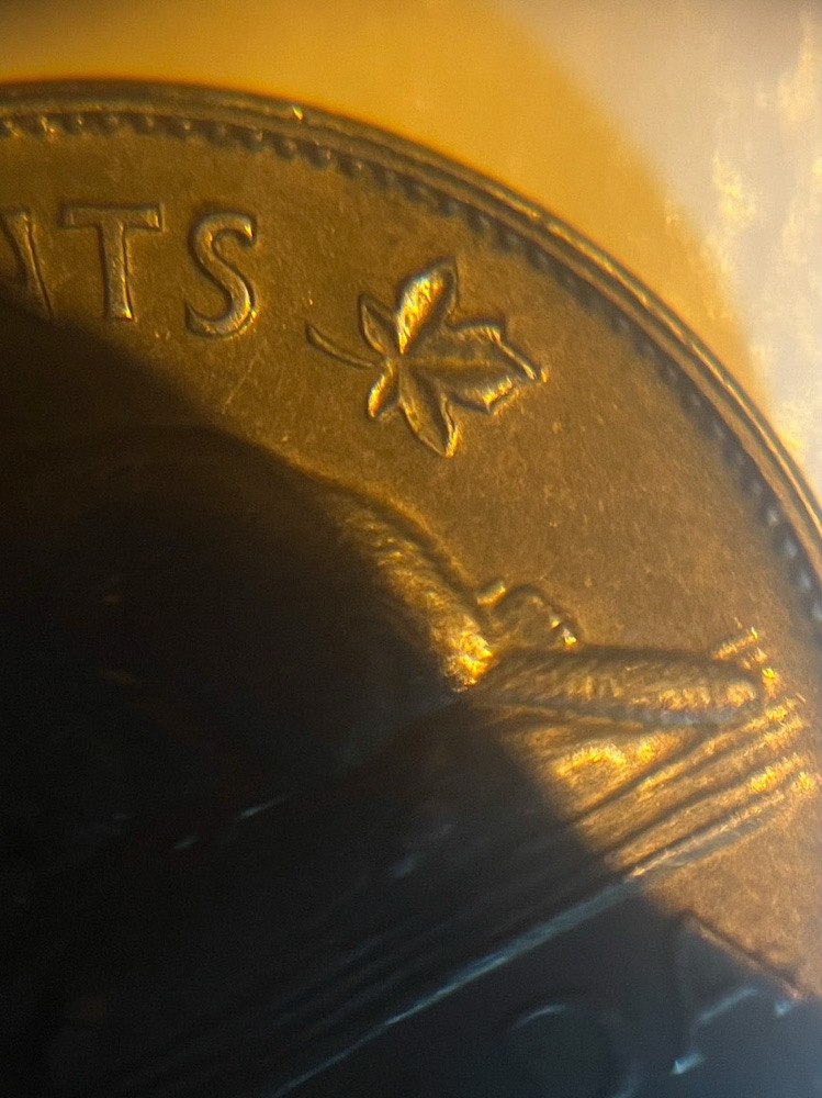 1978-5-Cent,-What's-Going-On-Here?