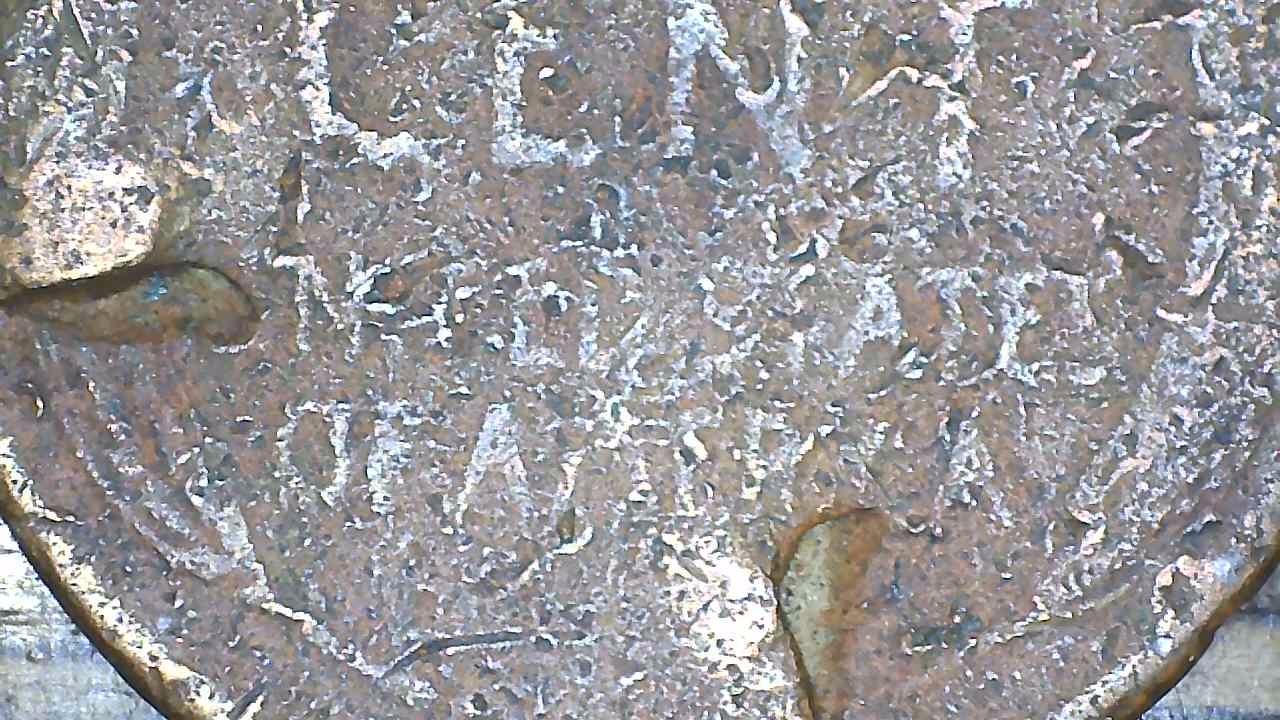 1956-D-Lincoln-Cent-Any-Idea-Whats-This-May-Be?