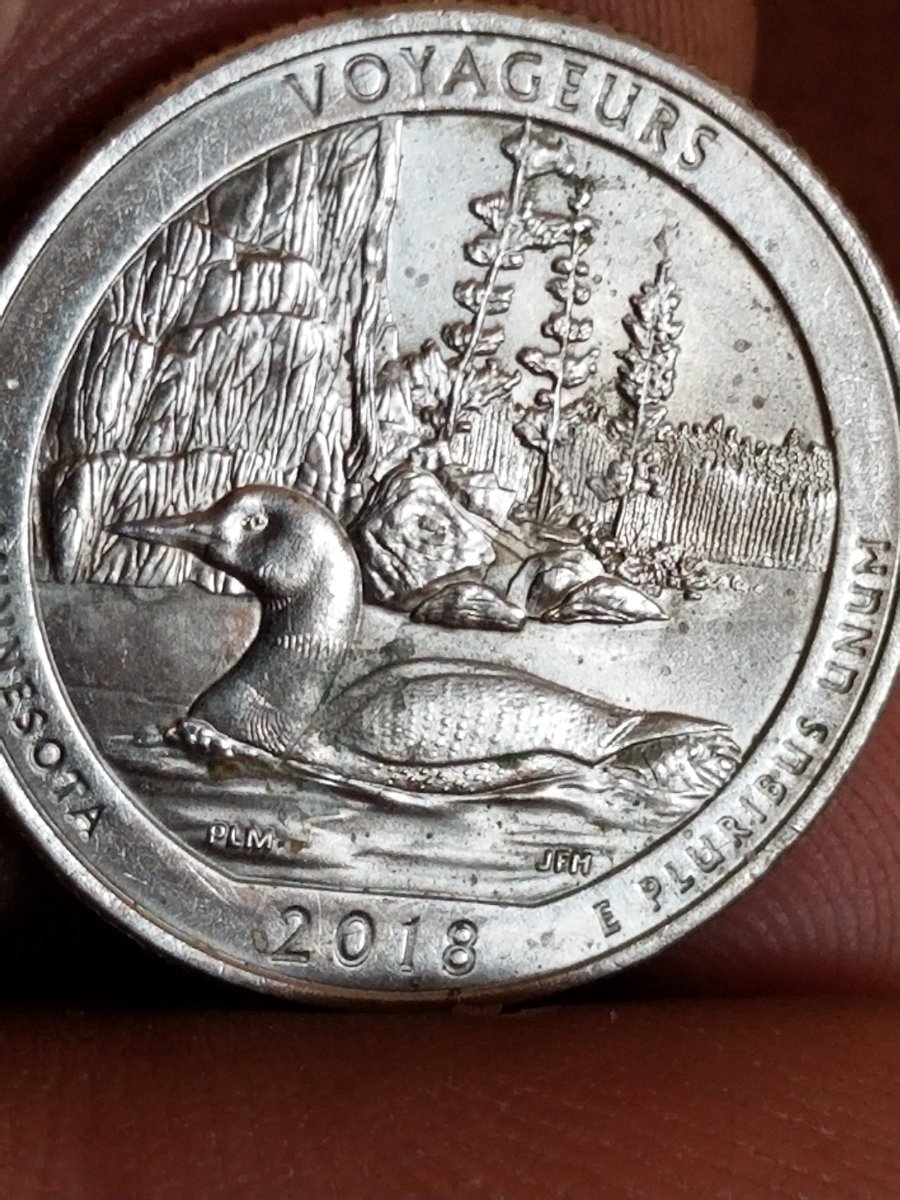 2018-D-Minnesota-Quarter-Error,--Extra-Ducks-Ghost-?-Opinion--.