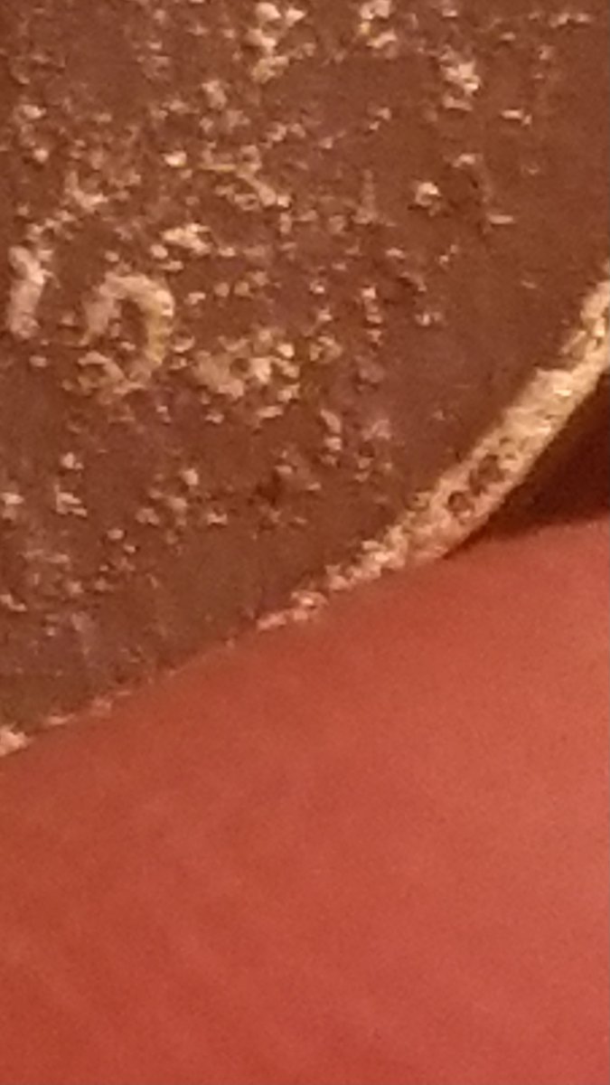 1943-S-Copper-Lincoln--Penny-Cull-Worth-Anything?