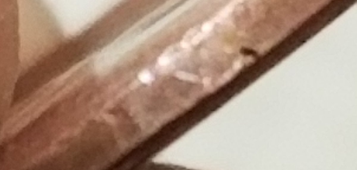 1964-Lincoln-Penny-With-Edge-Lettering-Is-This-Error-Or-SMS-Penny?-Help-Her