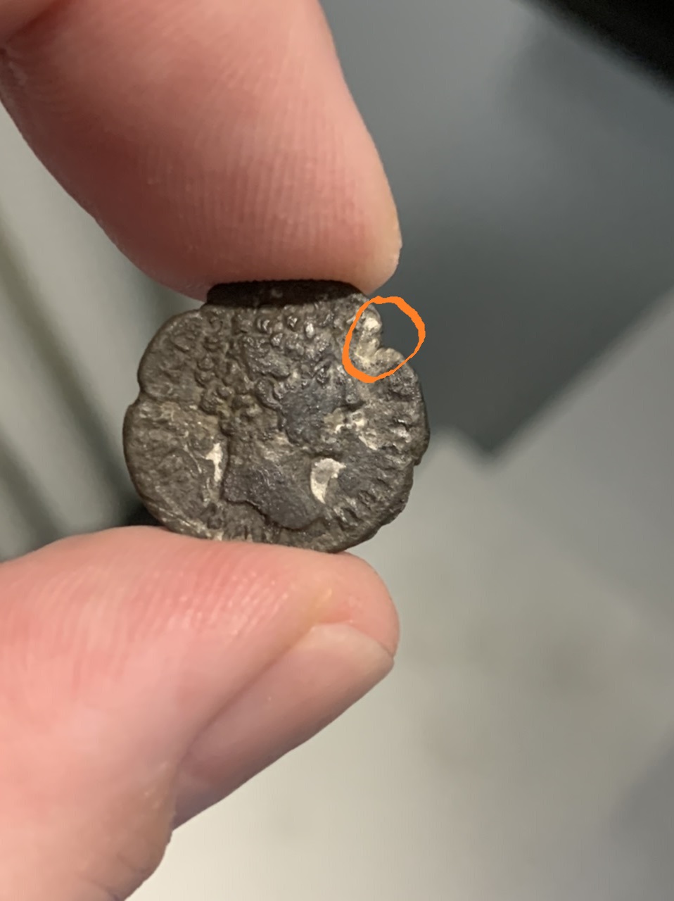 Identification-Help-Please