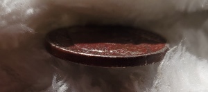 1926-Buffalo-Nickel-Red