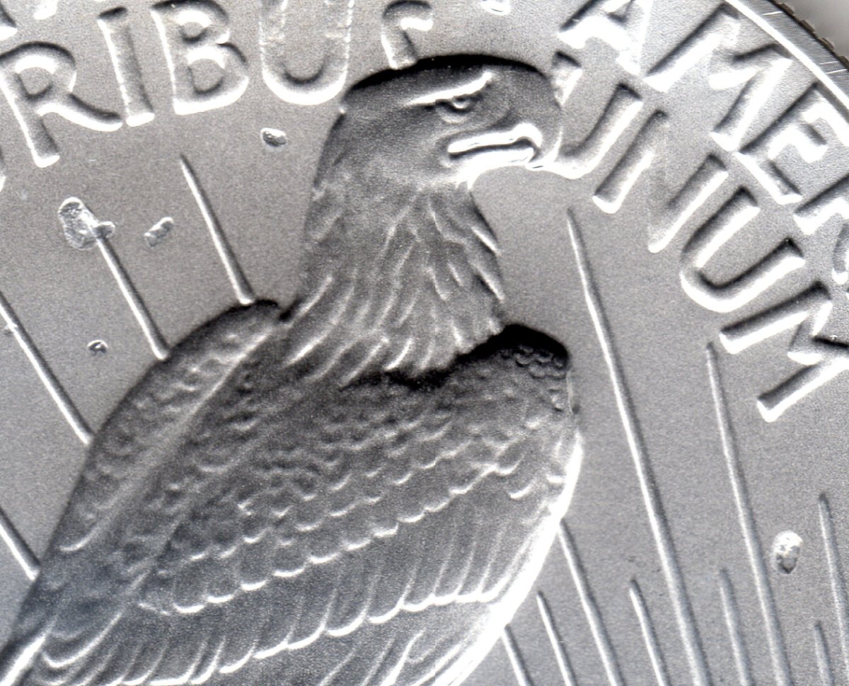 2021-Morgans-Defects/Damage-Found