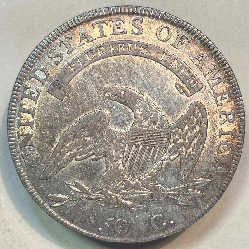 1838-Capped-Bust-Half---What-Causes-The-Lines-On-This-Coin?