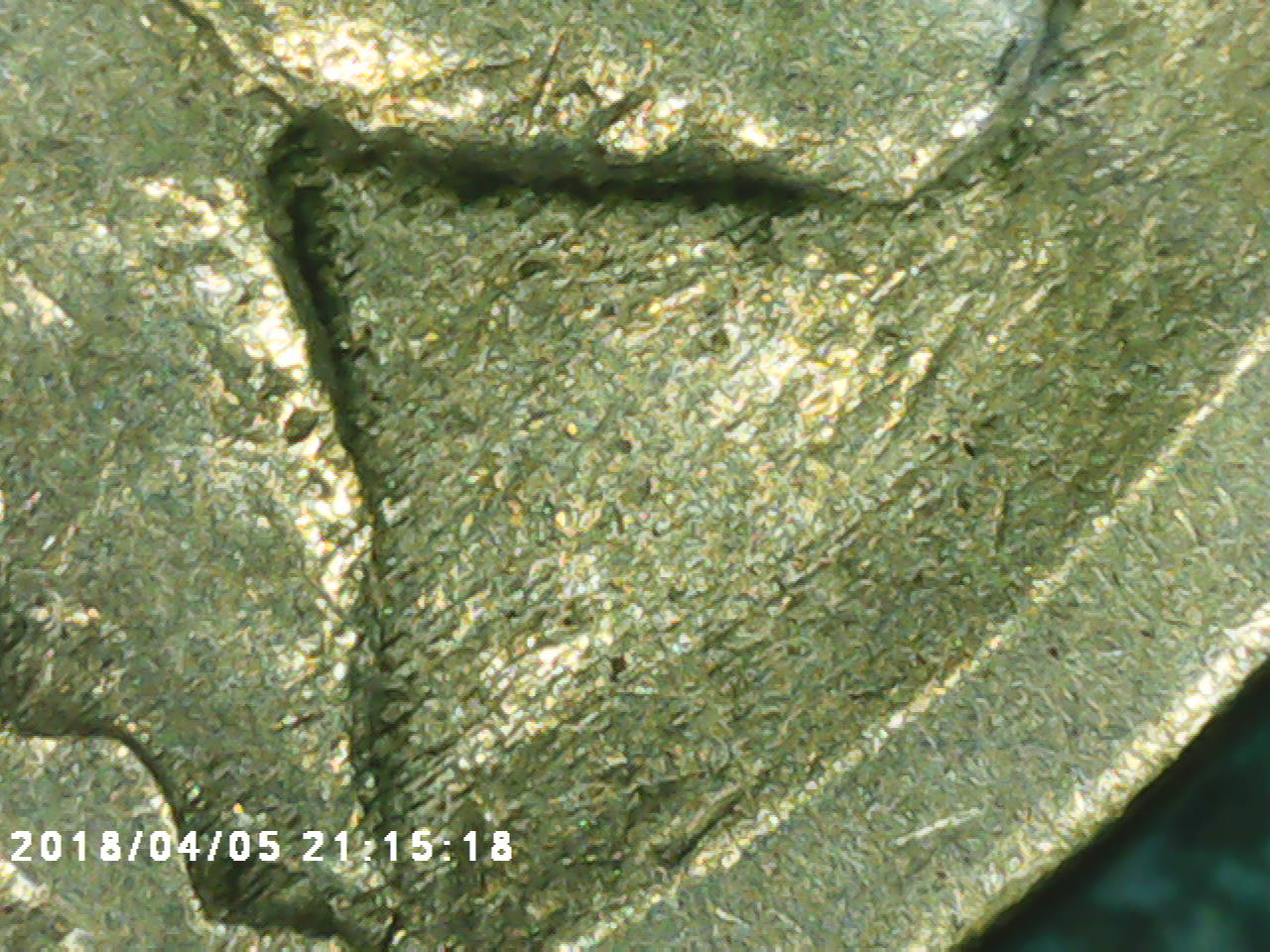 1916-DDO-Buffalo-Confirmation?