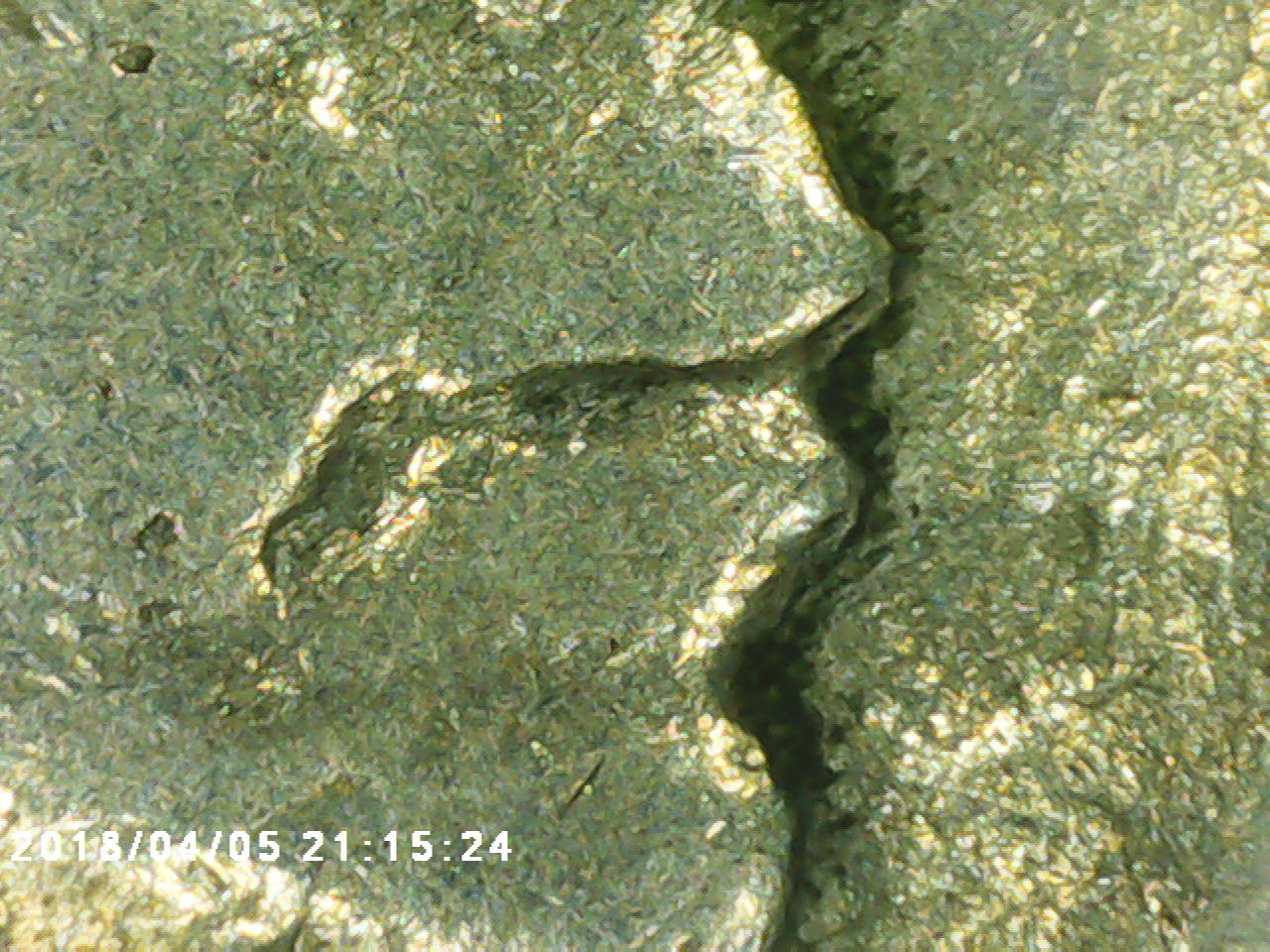 1916-DDO-Buffalo-Confirmation?
