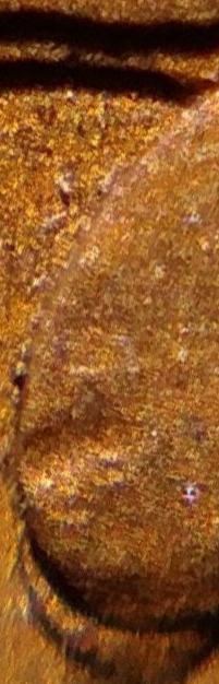 USB-Microscope,-Not-Quite-Sure-Why-People-Would-Bye-Them