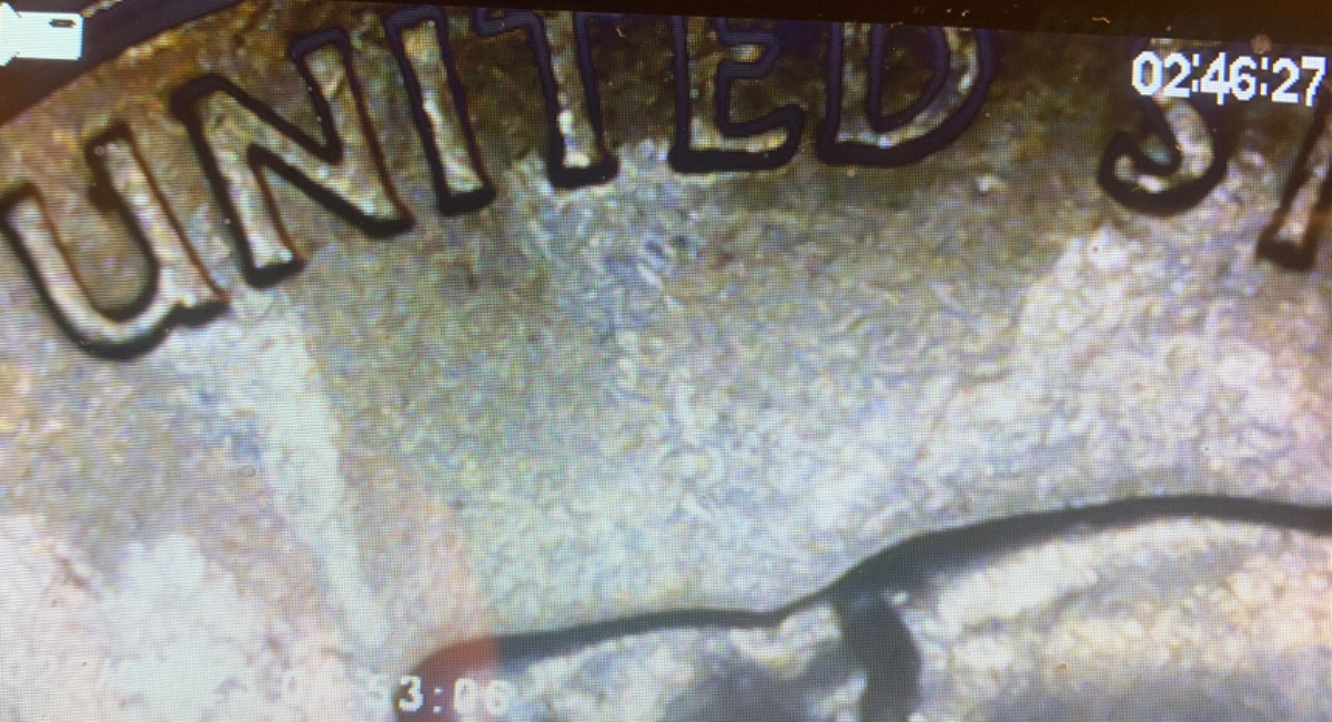 2005-Kansas-State-Quarter.-Strange-Silhouette-Error.