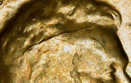 Hello!-Coin-Community!-Die-Crack-Error-1955-P-Lwc?