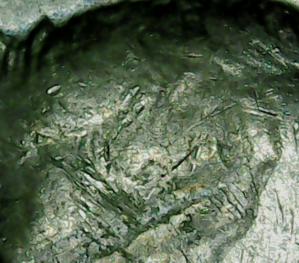 1973-Kennedy-Half-Dollar-Not-Sure-What-I'm-Looking-At-Massive-Cud?