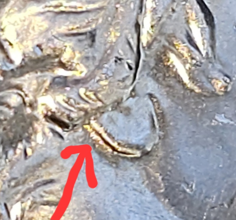 2023-D-Quarter-Is-This-A-Doubled-Die?