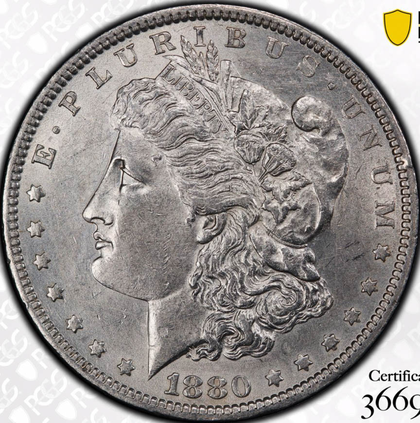 1880-Morgan--Not-My-Coin-Just-Curious-Everyones-Thoughts
