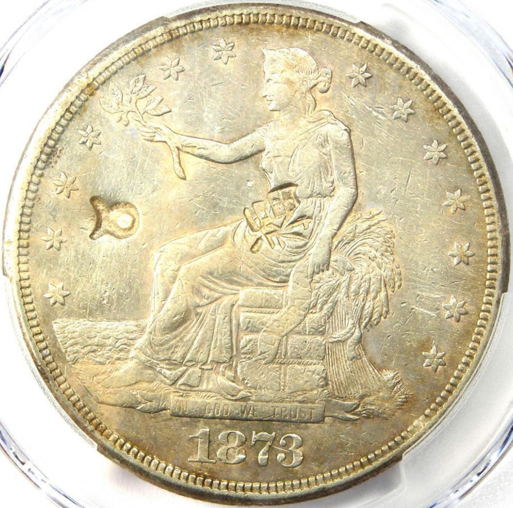 1873-CC-Chopmarked-And-Environmental-Damage