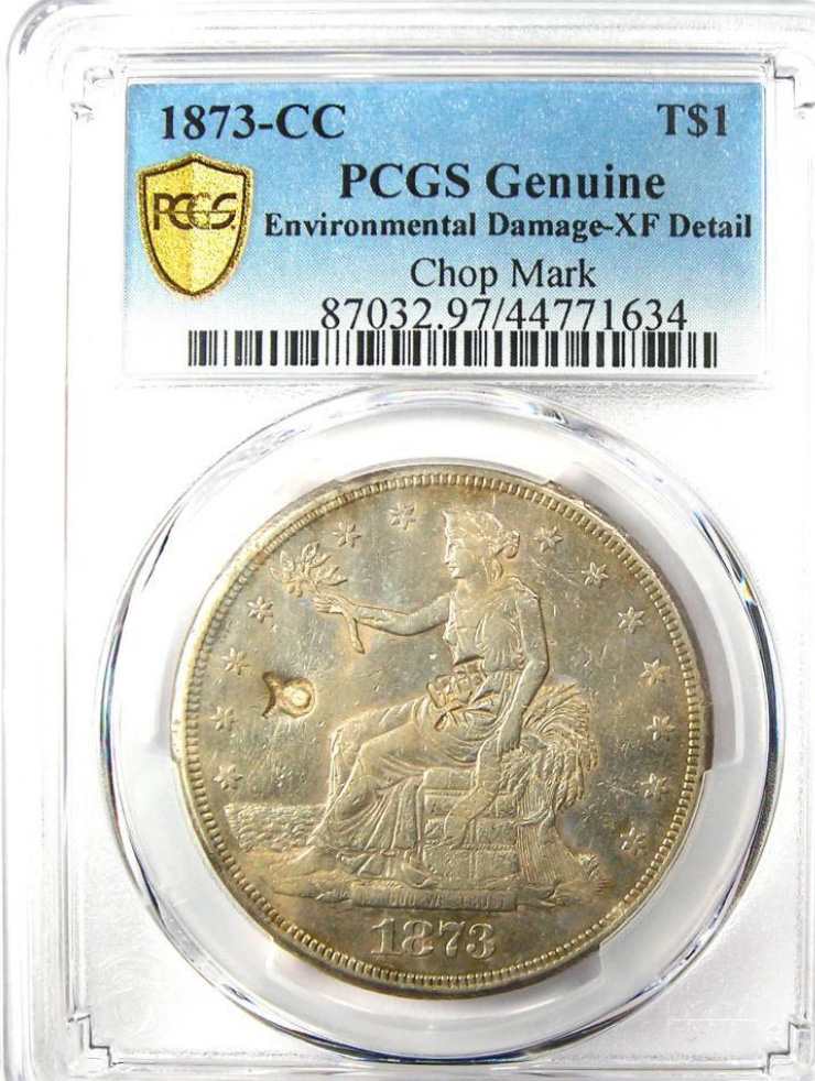 1873-CC-Chopmarked-And-Environmental-Damage