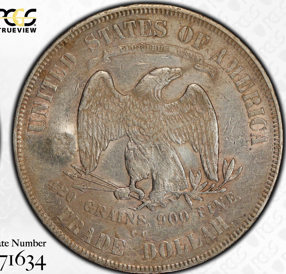 1873-CC-Chopmarked-And-Environmental-Damage
