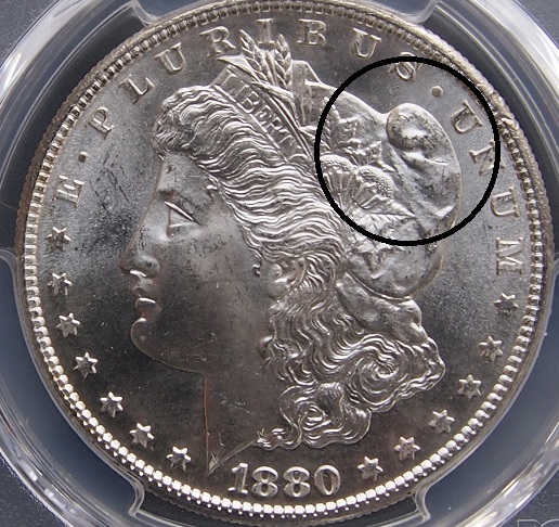 New-To-Me-1880-Morgan-Dollar,-What-Do-You-Think-It-Was-Graded?