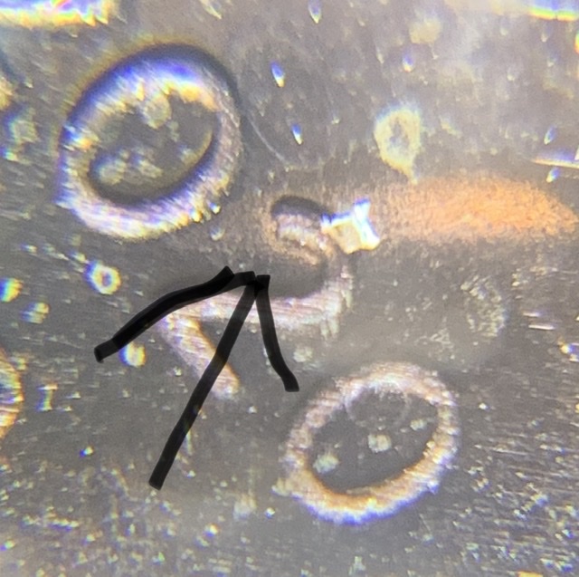 Is-There-A-Possibility-I-Found-An-Unknown-Variety-In-The-2020-Penny?