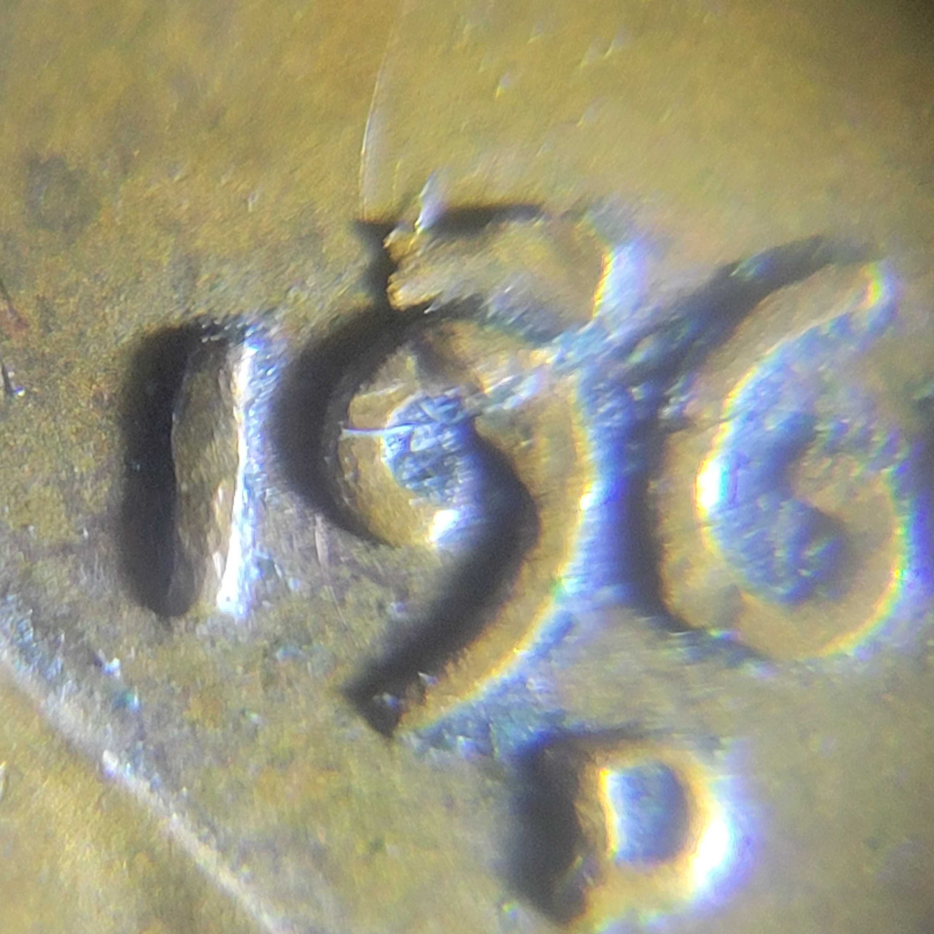 1960-D-Penny-Possible-Error-Question